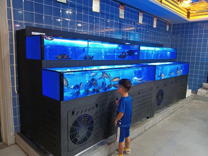Cuboid seafood tank (3)