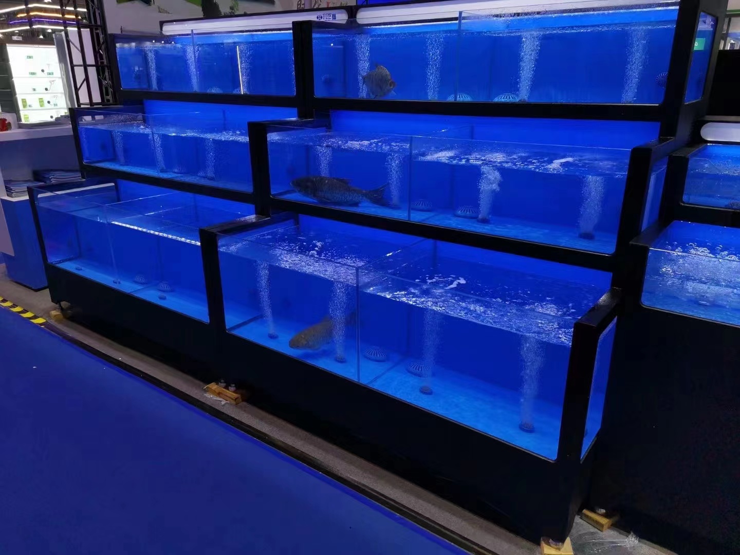 Cuboid three-tier seafood tank