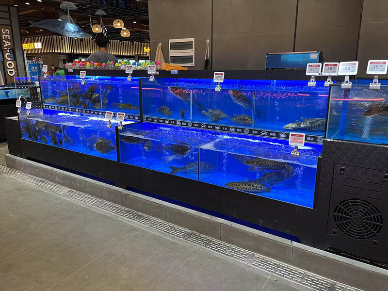 Cuboid seafood tank (8)