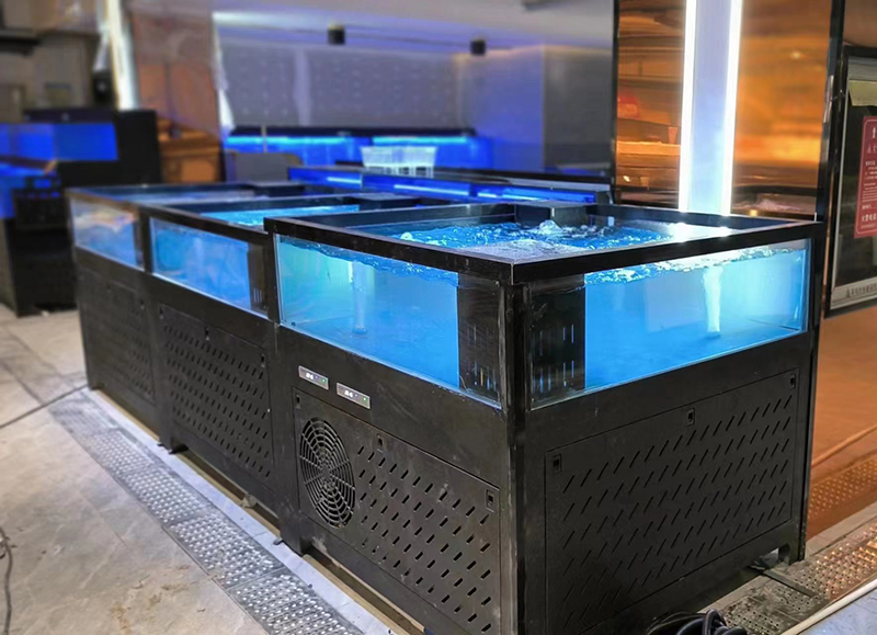 Cube seafood tank (5)