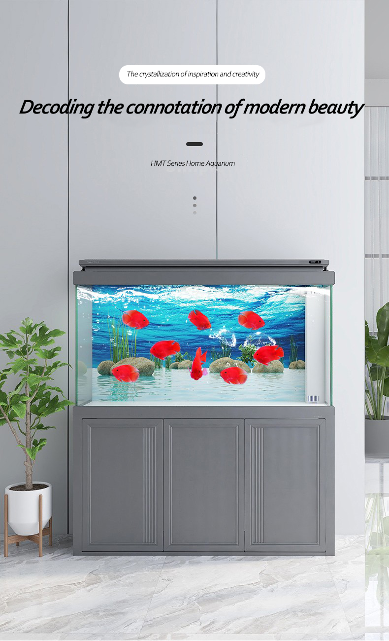 fish tank 8