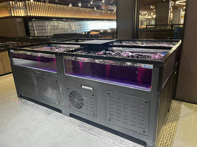 Cube seafood tank (2)