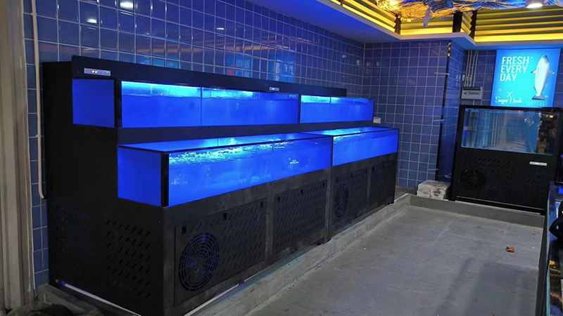 Cuboid seafood tank (11)