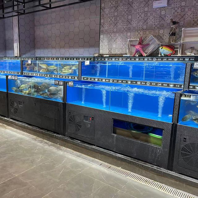 Cuboid seafood tank