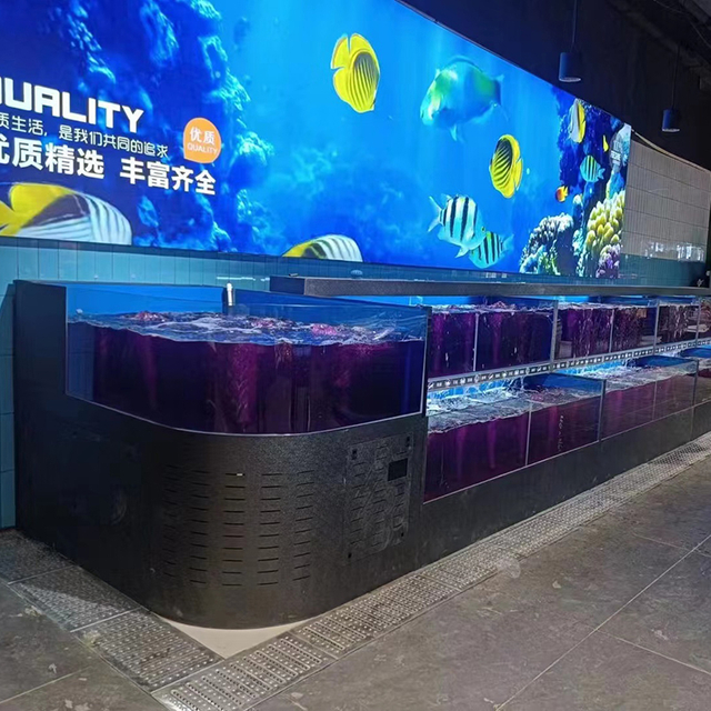 Cuboid cabinet rounded corners seafood tank