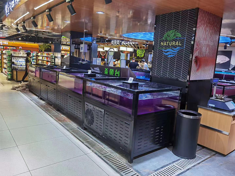 Cube seafood tank (7)