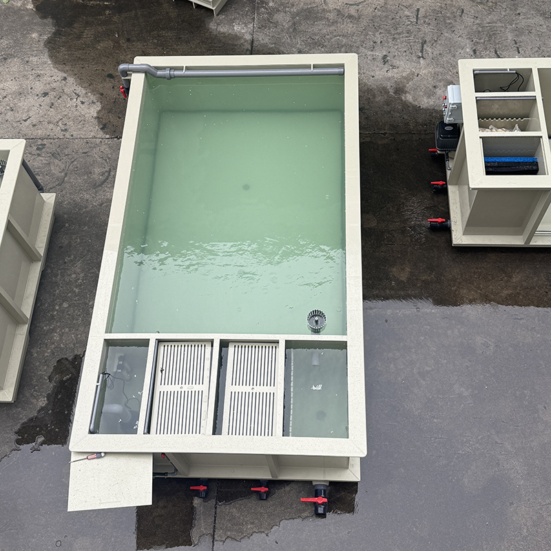 Square Beige PP Fishpond (14)