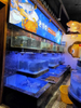 Supermarket seafood tanks