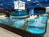 Supermarket seafood tanks