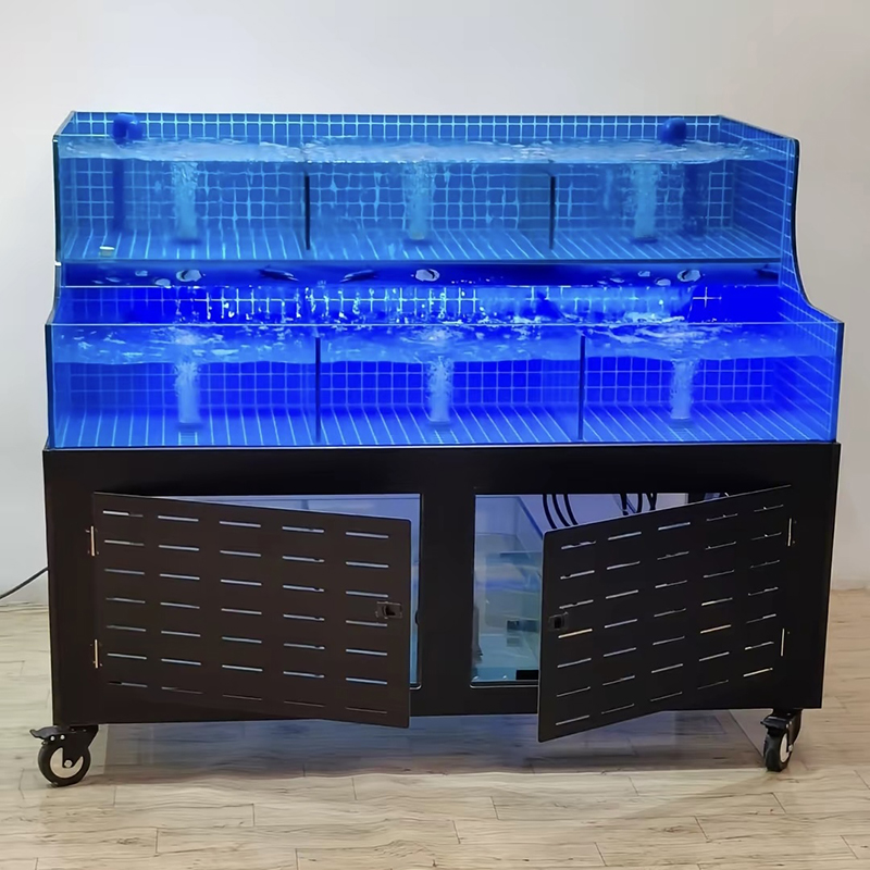 Supermarket seafood tanks