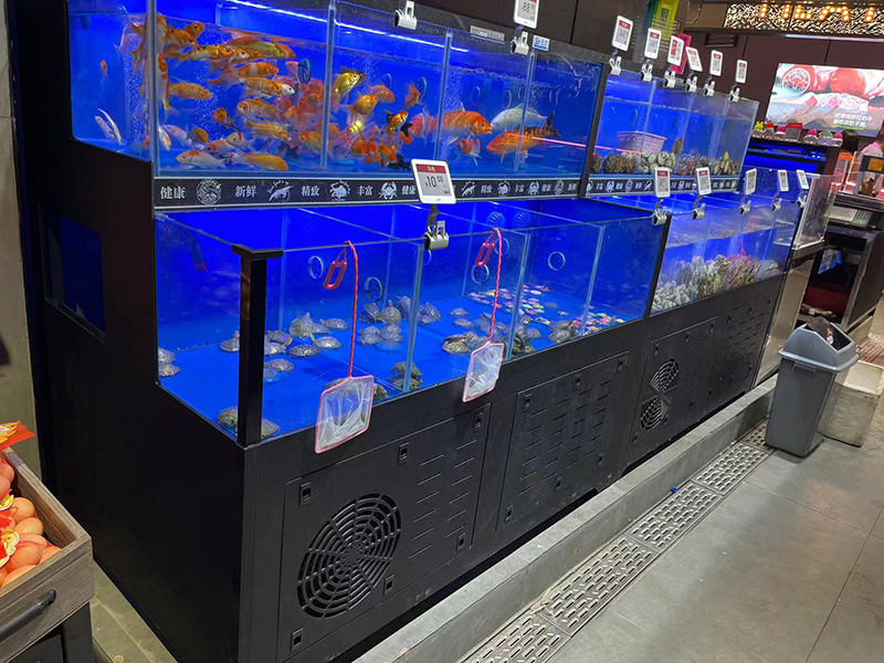 Cuboid seafood tank (1)