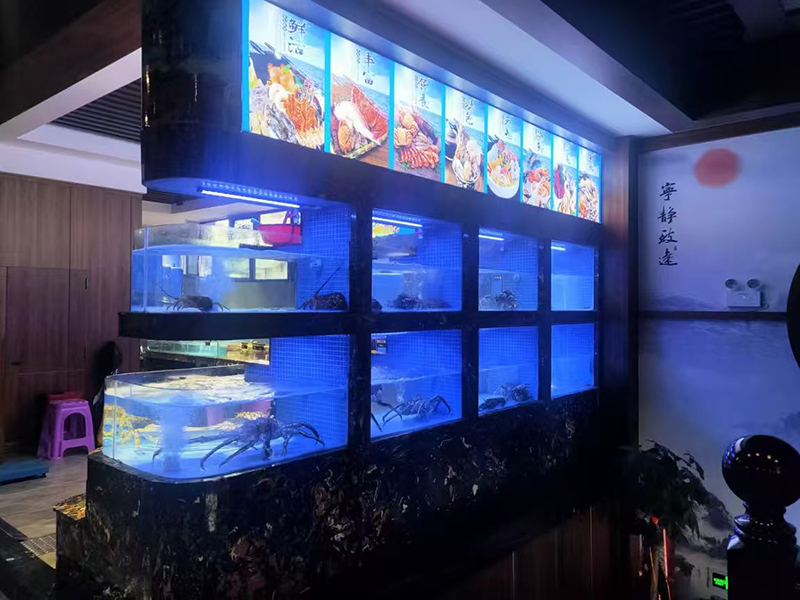 Supermarket seafood tanks