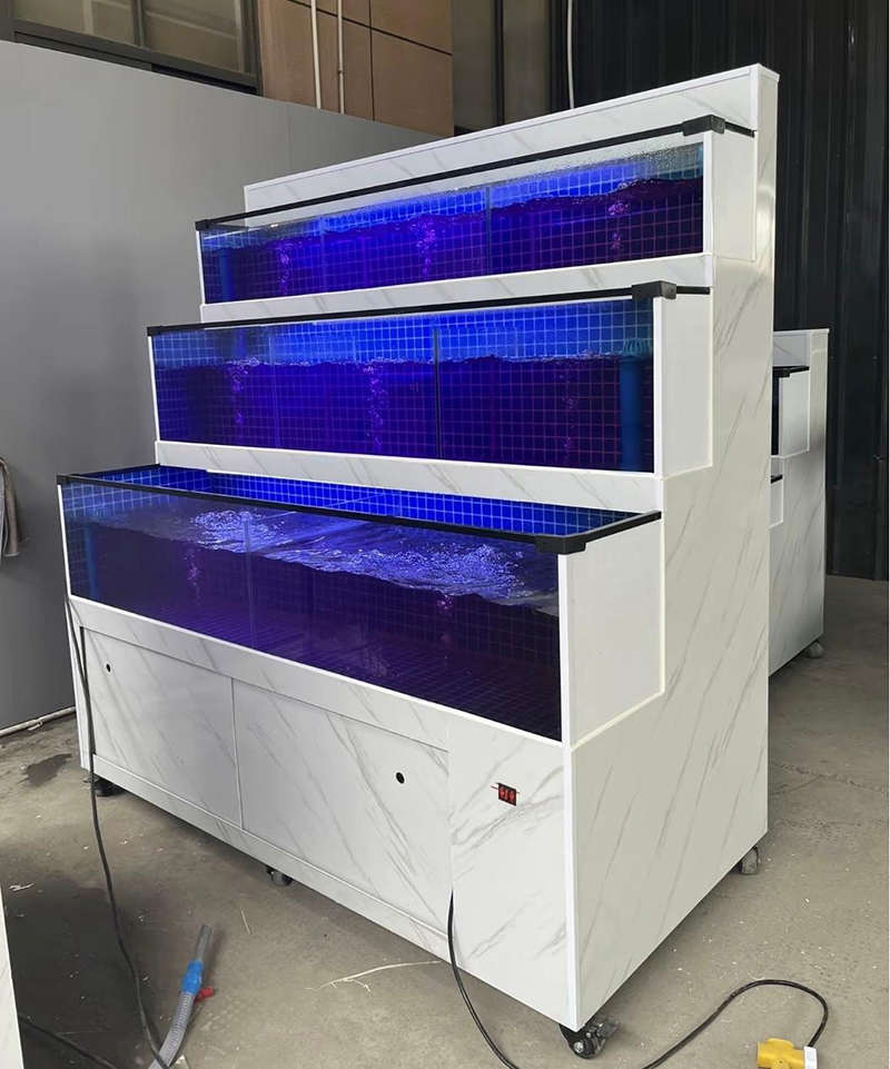 Supermarket seafood tanks