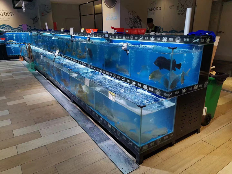 Cuboid seafood tank (12)