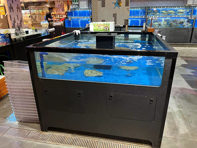 Cube seafood tank (3)