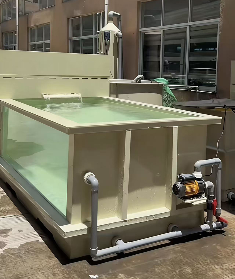 Square Beige PP Fishpond (4)