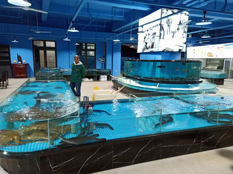 Supermarket seafood tanks