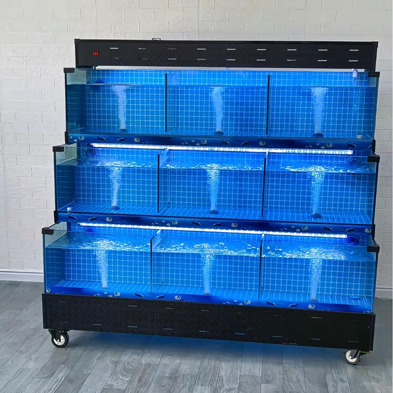 Supermarket seafood tanks