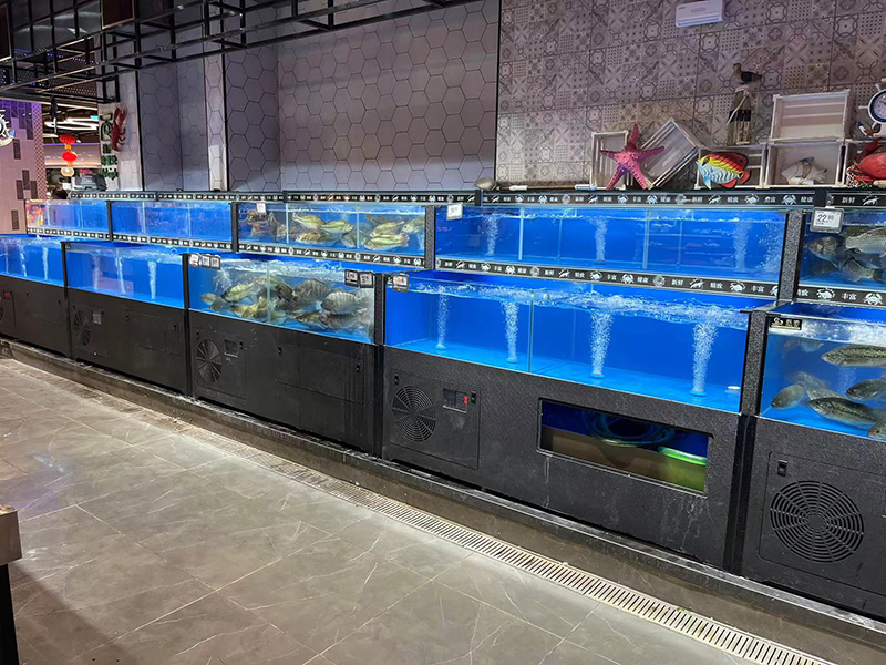 Cuboid seafood tank (9)
