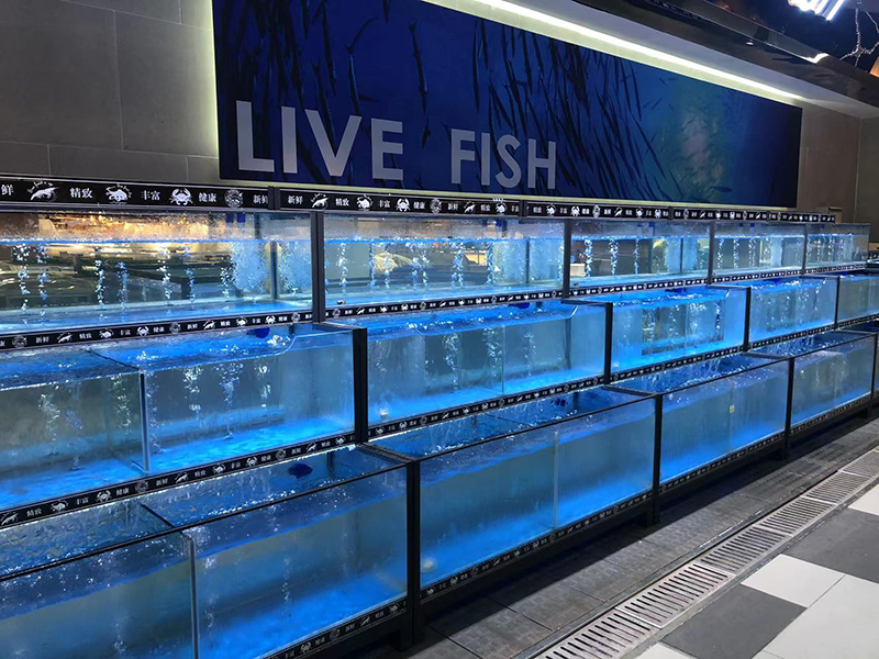 Cuboid three-tier seafood tank (1)