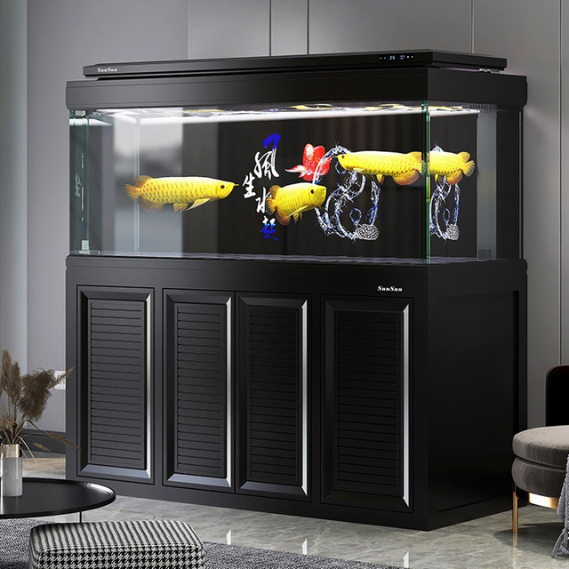HSG high-end dragon fish tank