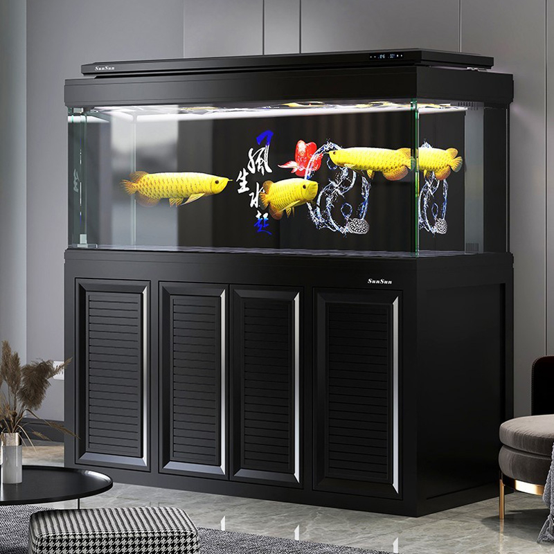 HSG high-end dragon fish tank