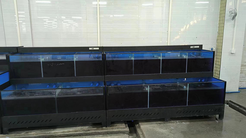 Cuboid seafood tank (9)