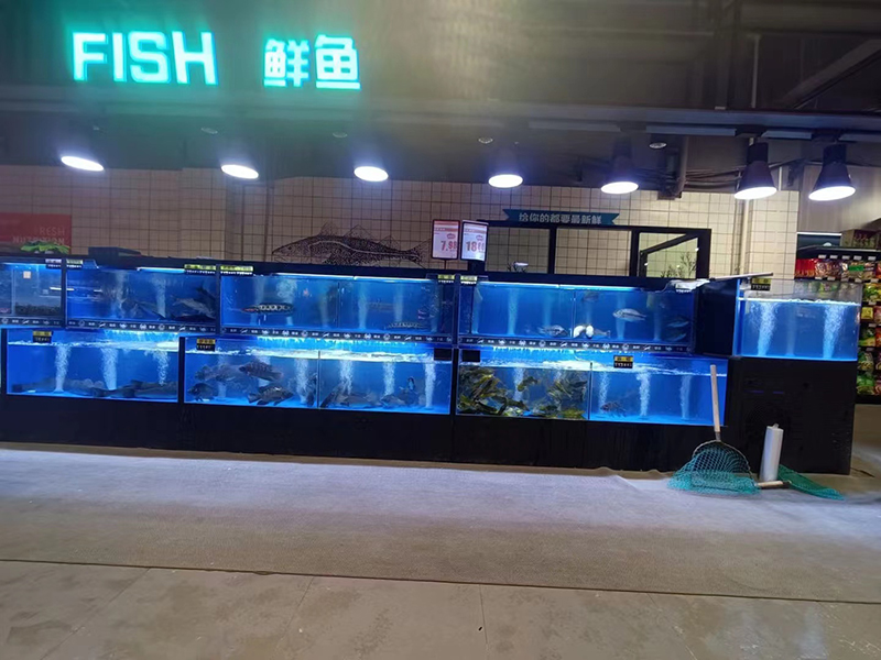 Cuboid seafood tank (13)
