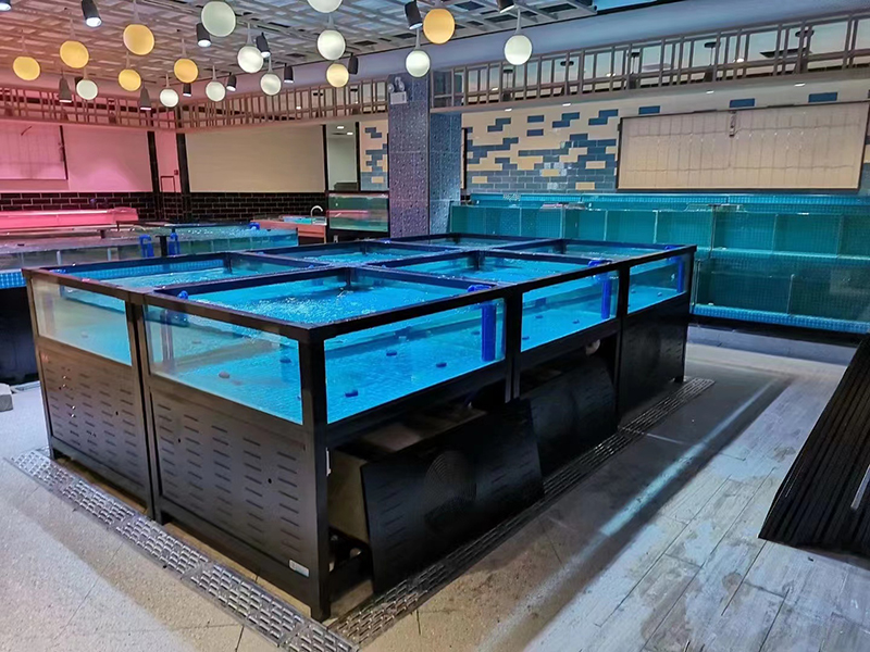 Cube seafood tank (4)