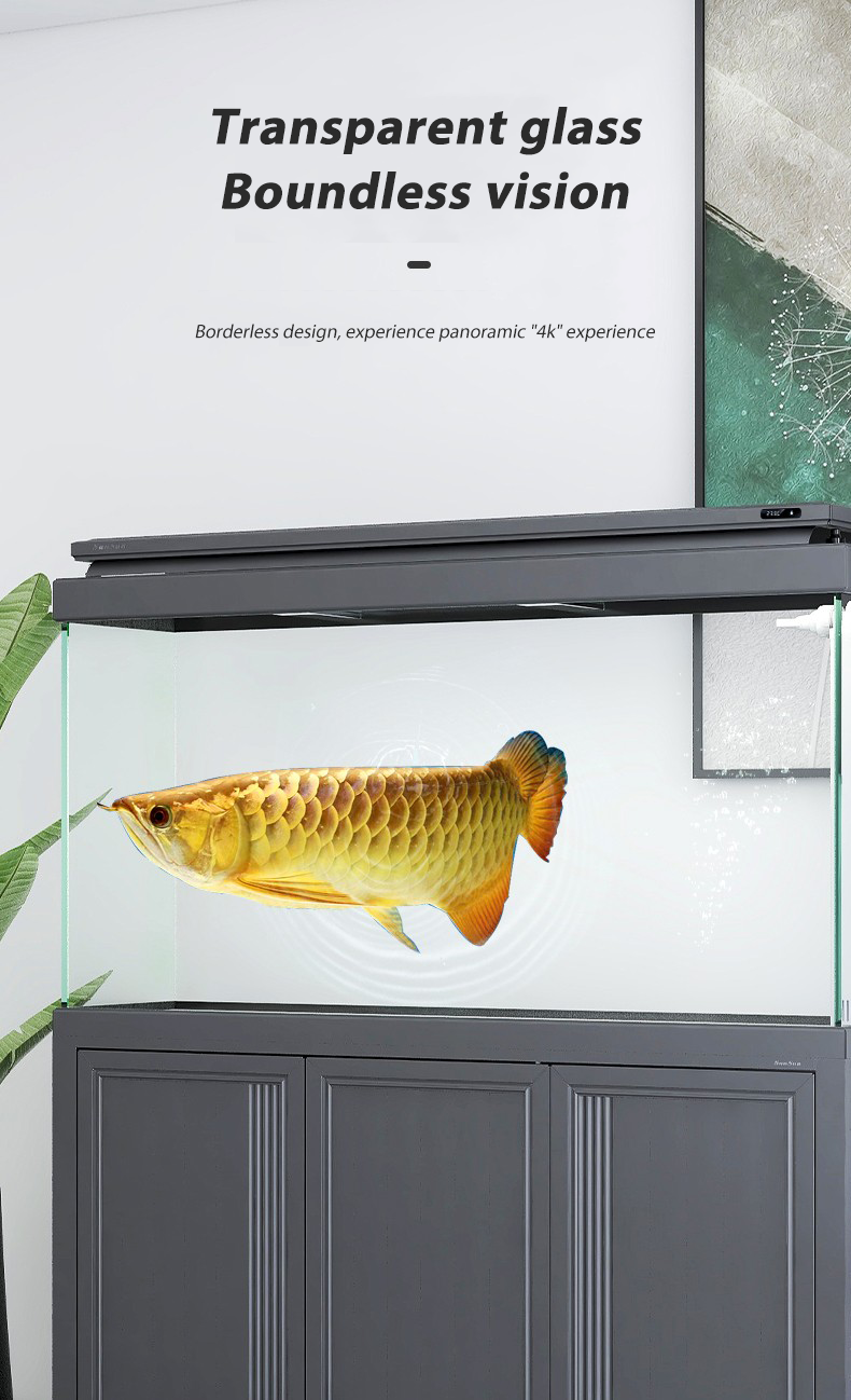 fish tank 2