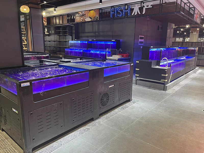 Cube seafood tank (6)