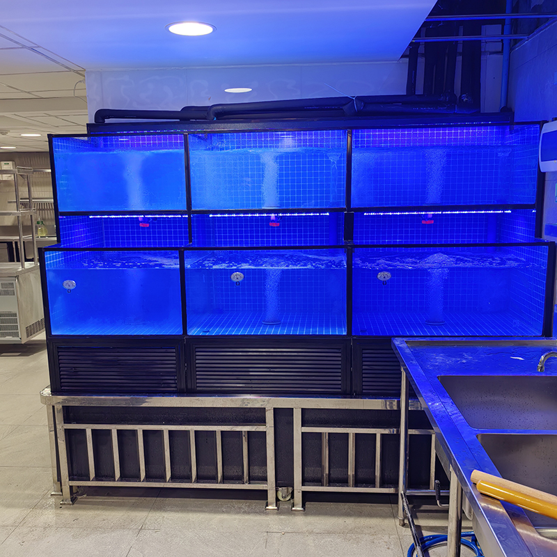 Supermarket seafood tanks