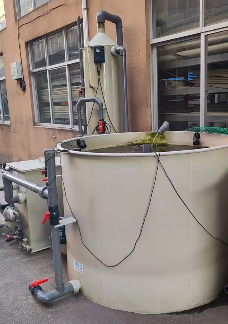 Round PP Fishpond (9)