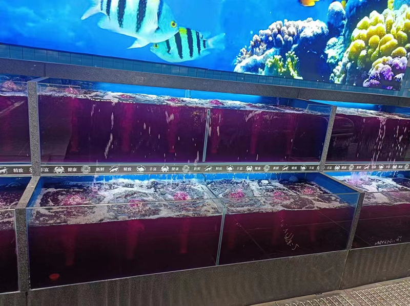 Cuboid cabinet rounded corners seafood tank (3)