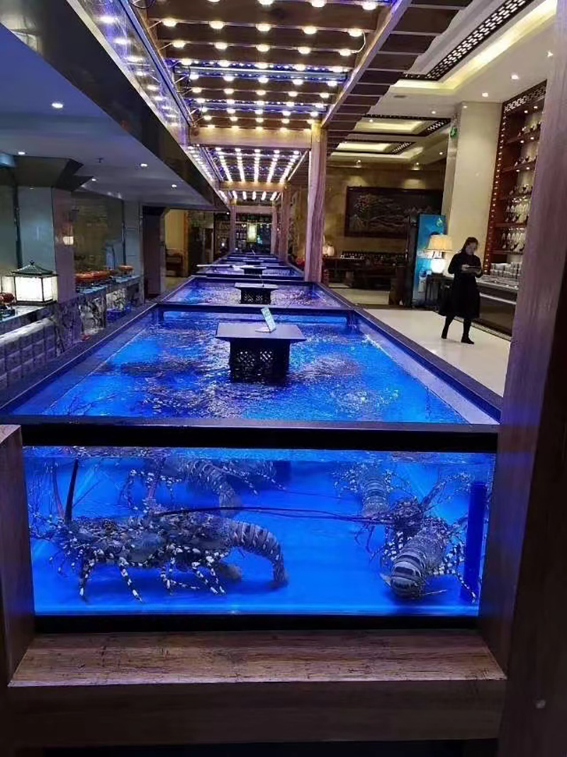 Cube seafood tank (6)