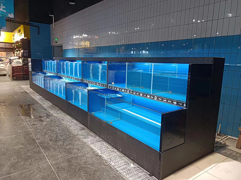 Cuboid cabinet rounded corners seafood tank (4)