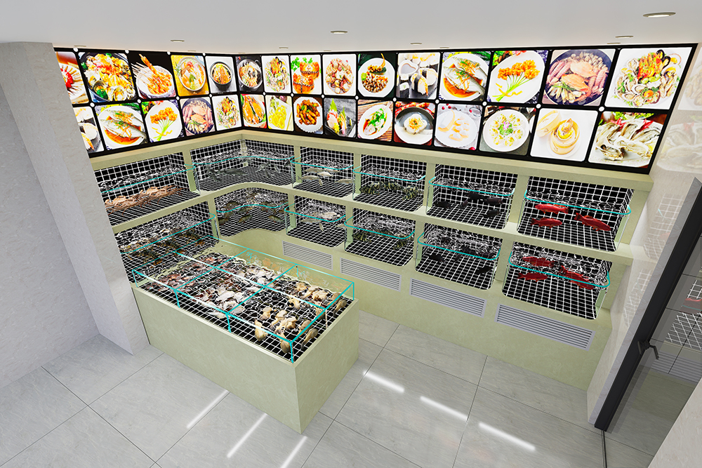 Two-tier movable seafood tank (6)