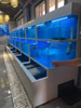 Supermarket seafood tanks