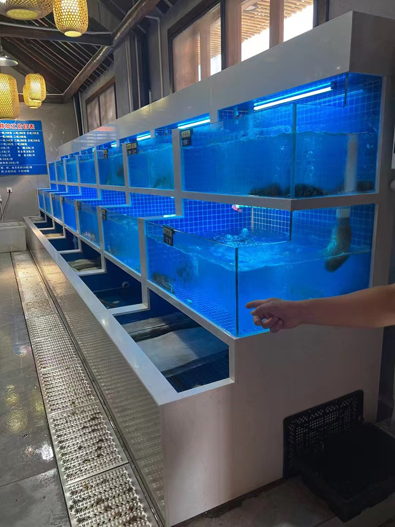Supermarket seafood tanks