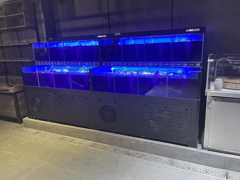 Cuboid seafood tank (8)
