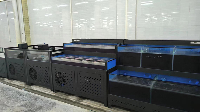Cuboid seafood tank (4)