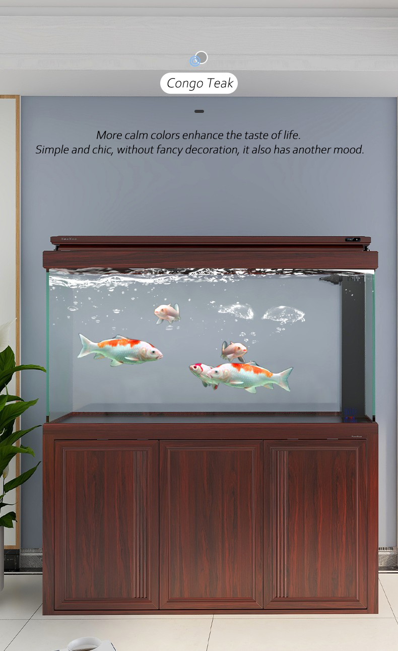 fish tank 5