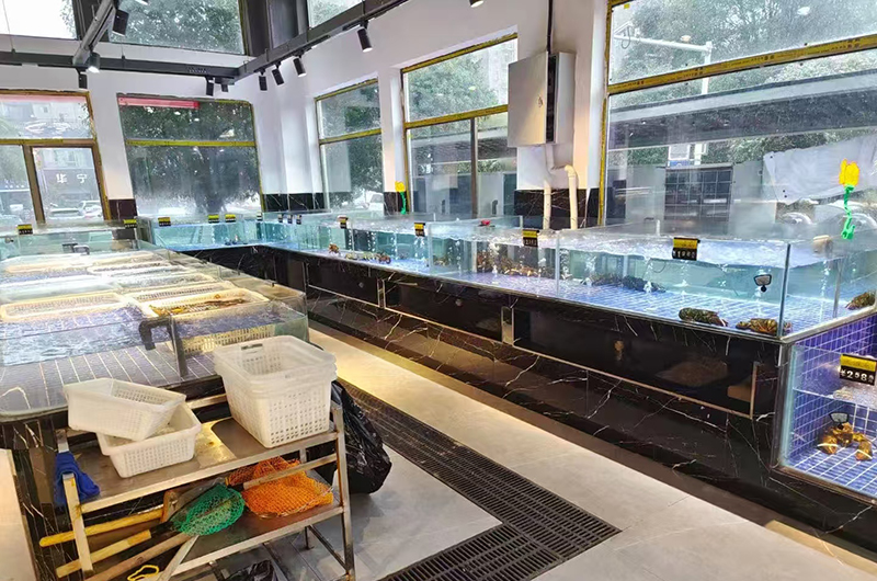 Supermarket seafood tanks