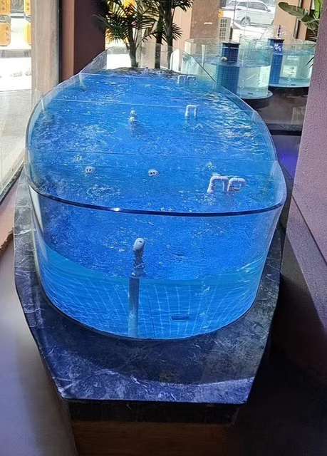 Supermarket seafood tanks