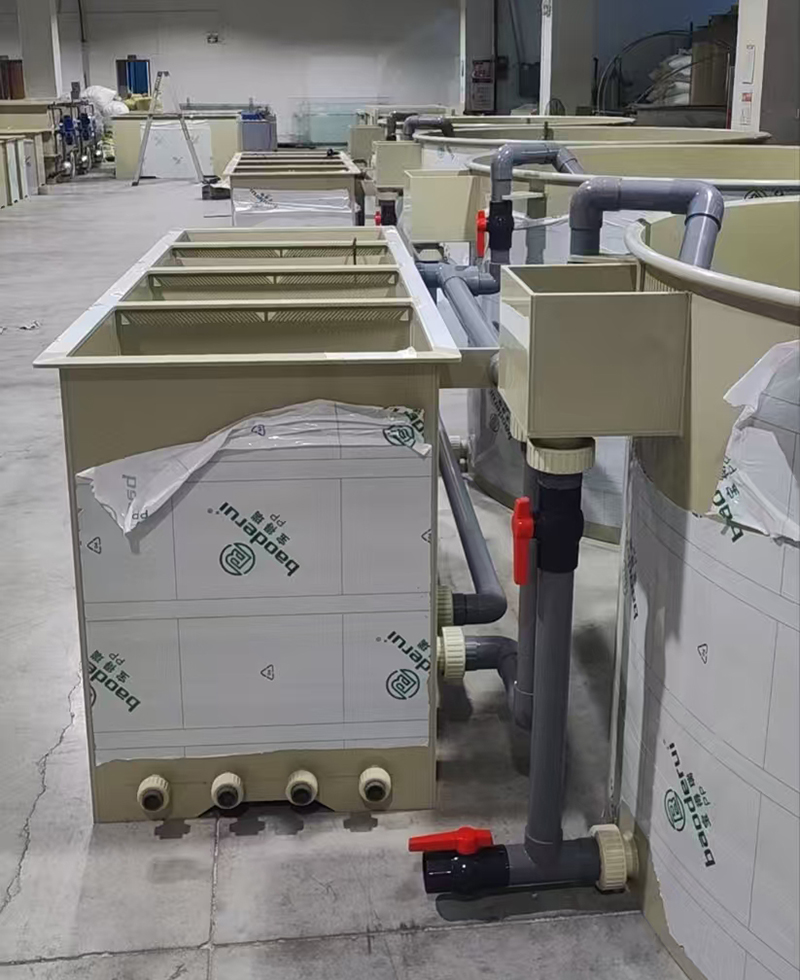 Round PP Fishpond (5)