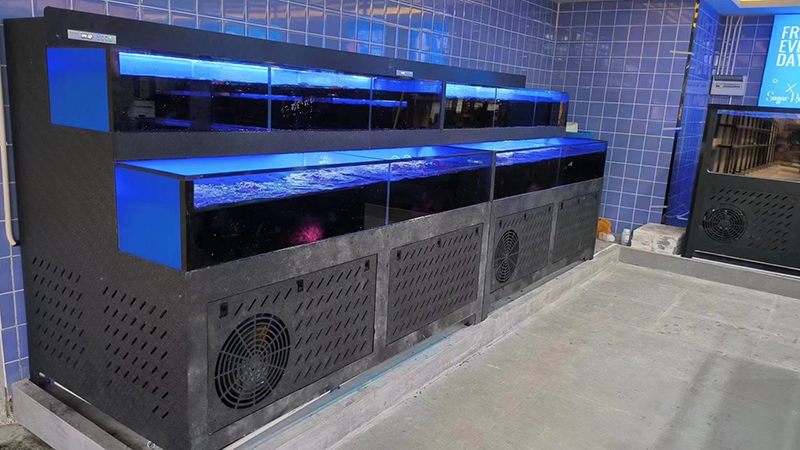 Cuboid seafood tank (12)