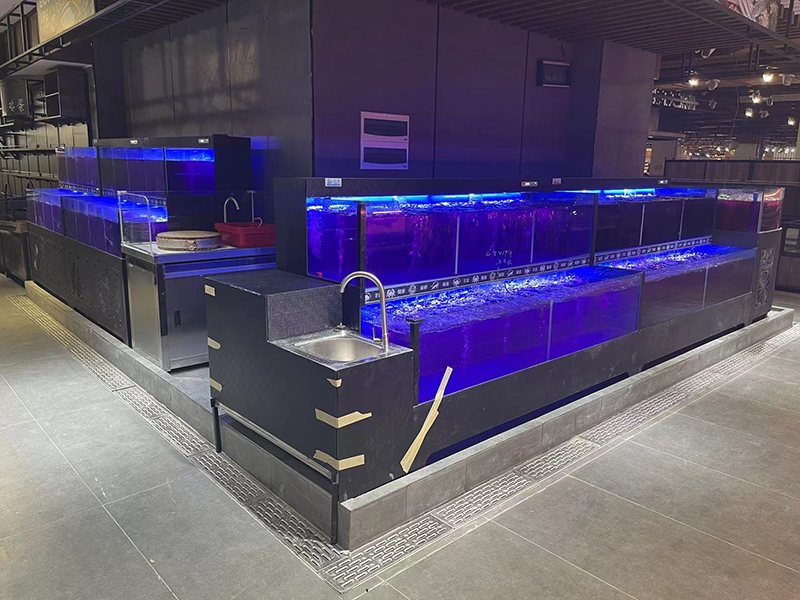 Cuboid seafood tank (6)