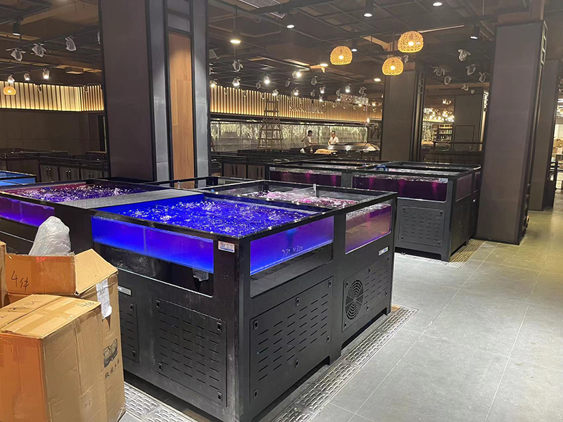 Cube seafood tank (4)