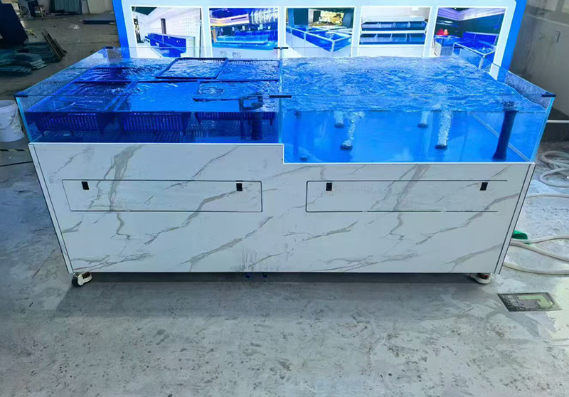Supermarket seafood tanks