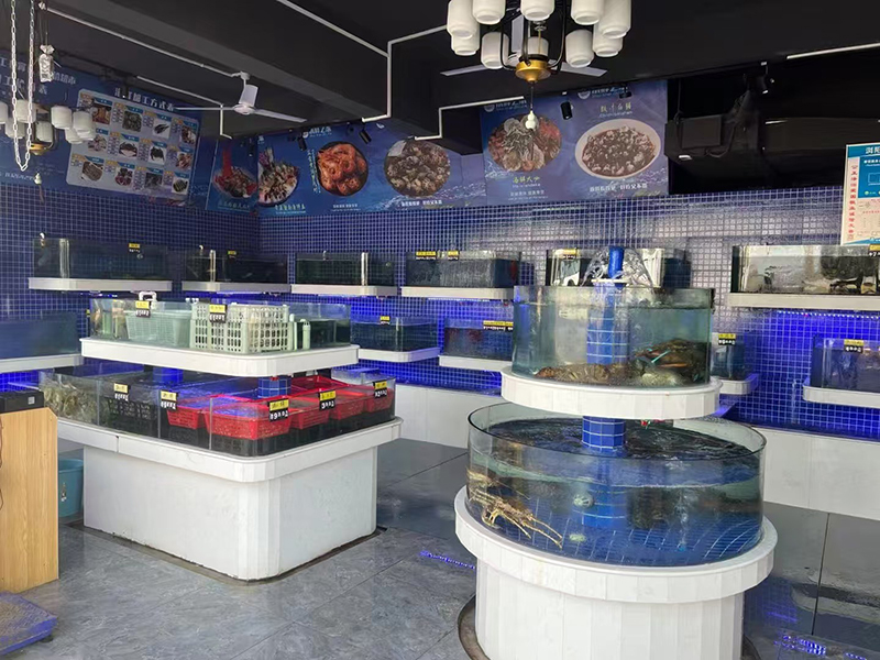 Supermarket seafood tanks